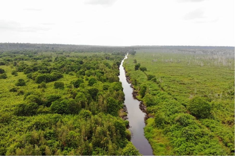The Katingan Mentaya Project