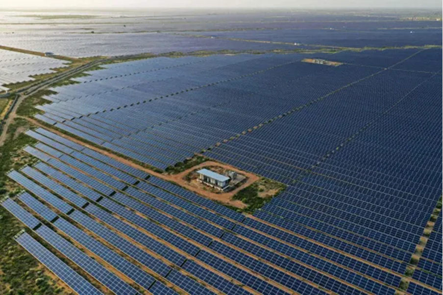 Bhadla Solar Park